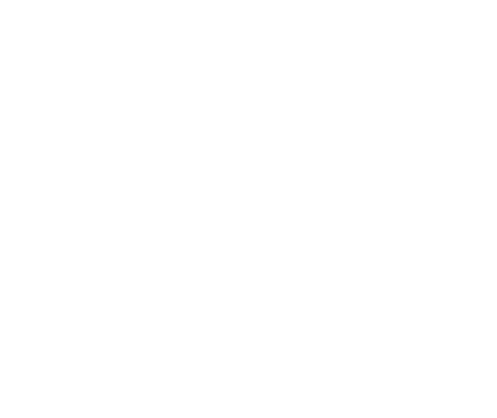 logo flor planazzo blanco